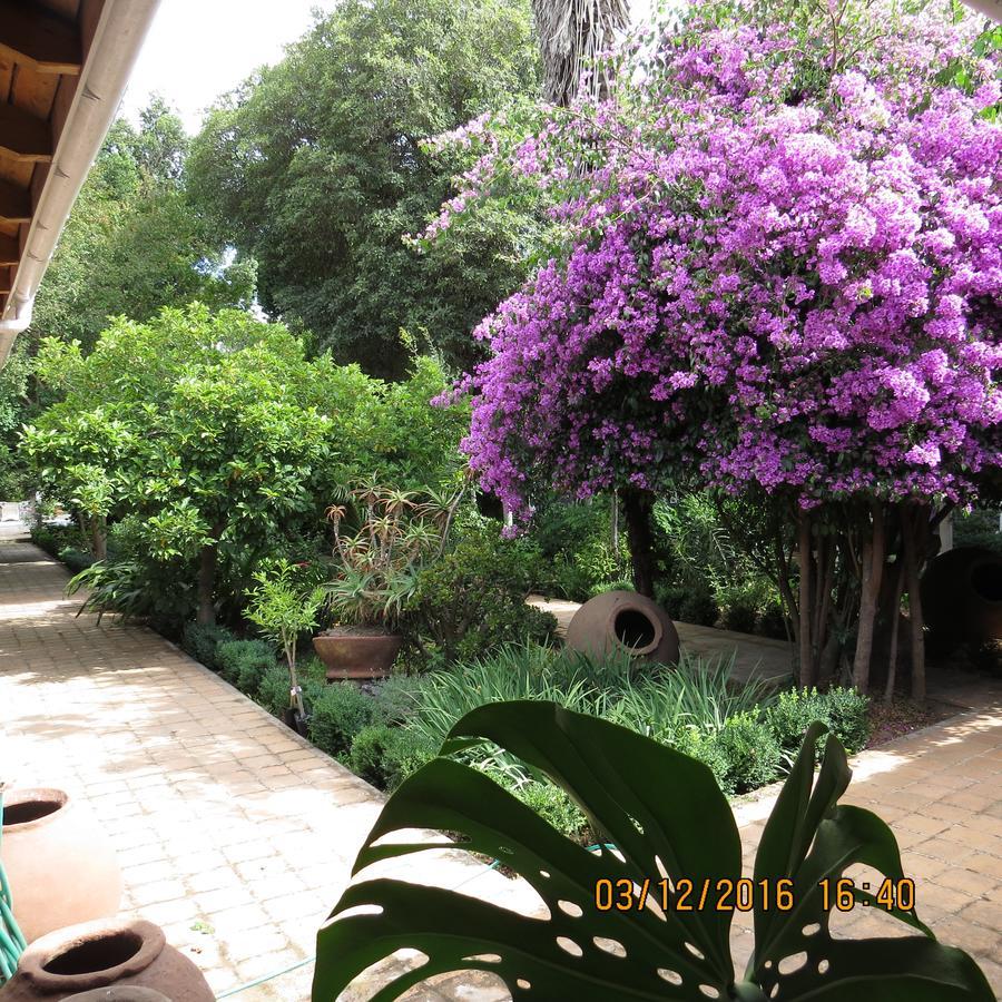 Hotel Boutique Quinta Maria Santa Cruz Extérieur photo