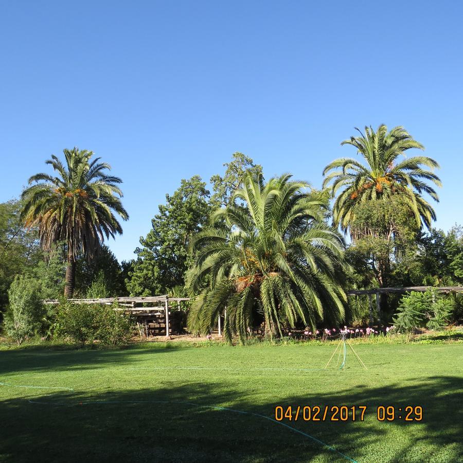 Hotel Boutique Quinta Maria Santa Cruz Extérieur photo