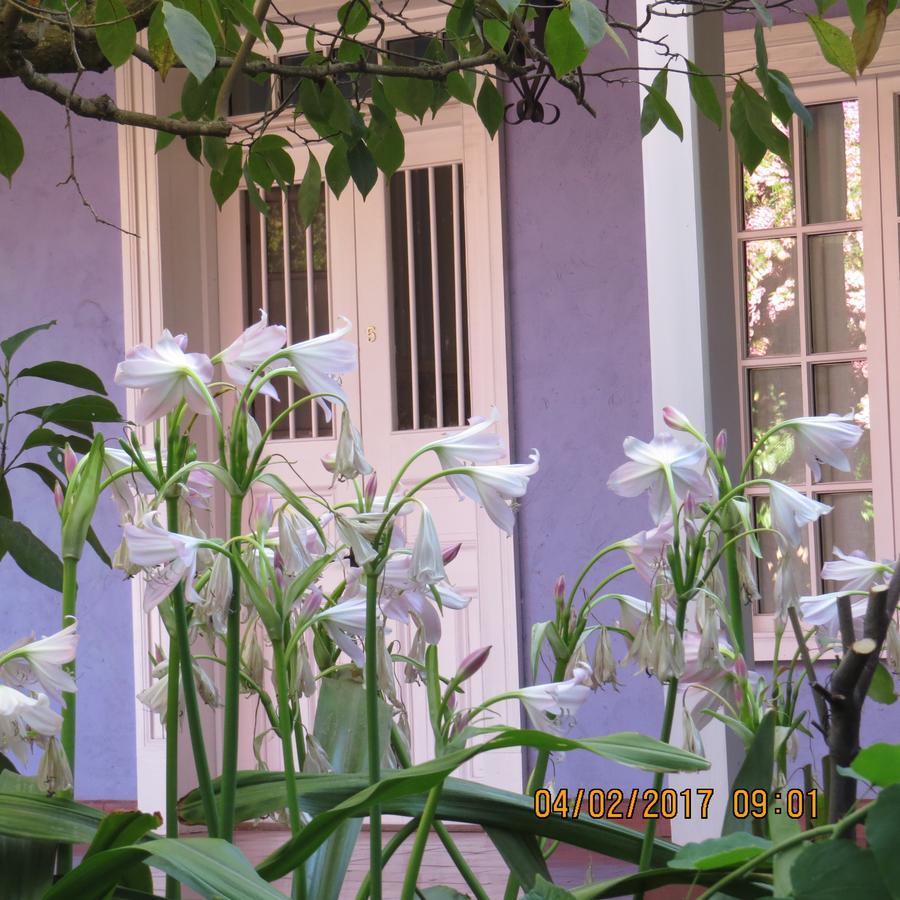 Hotel Boutique Quinta Maria Santa Cruz Extérieur photo