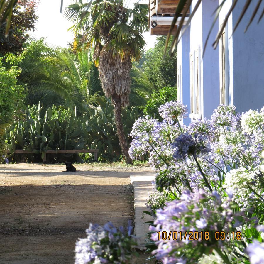 Hotel Boutique Quinta Maria Santa Cruz Extérieur photo