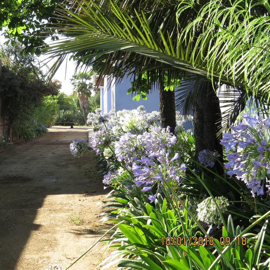 Hotel Boutique Quinta Maria Santa Cruz Extérieur photo