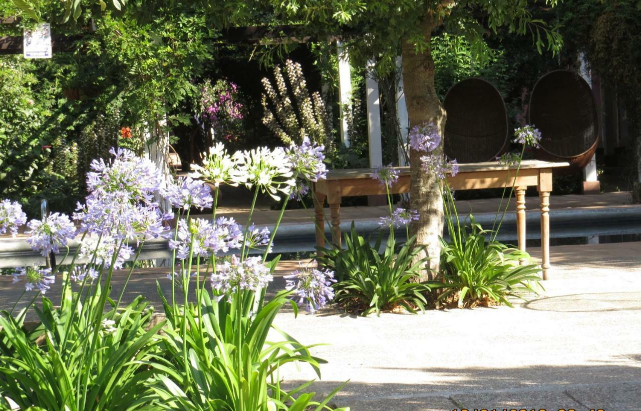 Hotel Boutique Quinta Maria Santa Cruz Extérieur photo