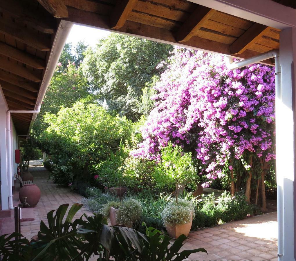 Hotel Boutique Quinta Maria Santa Cruz Extérieur photo