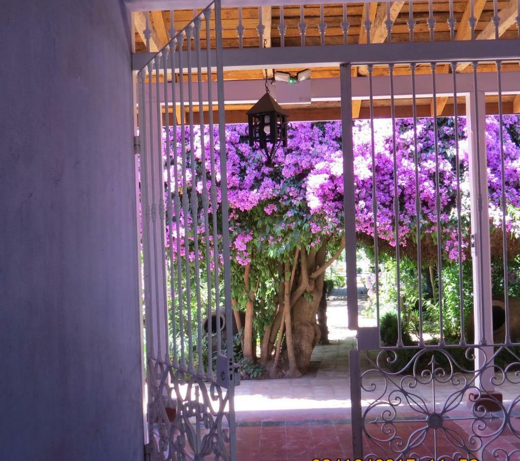 Hotel Boutique Quinta Maria Santa Cruz Extérieur photo